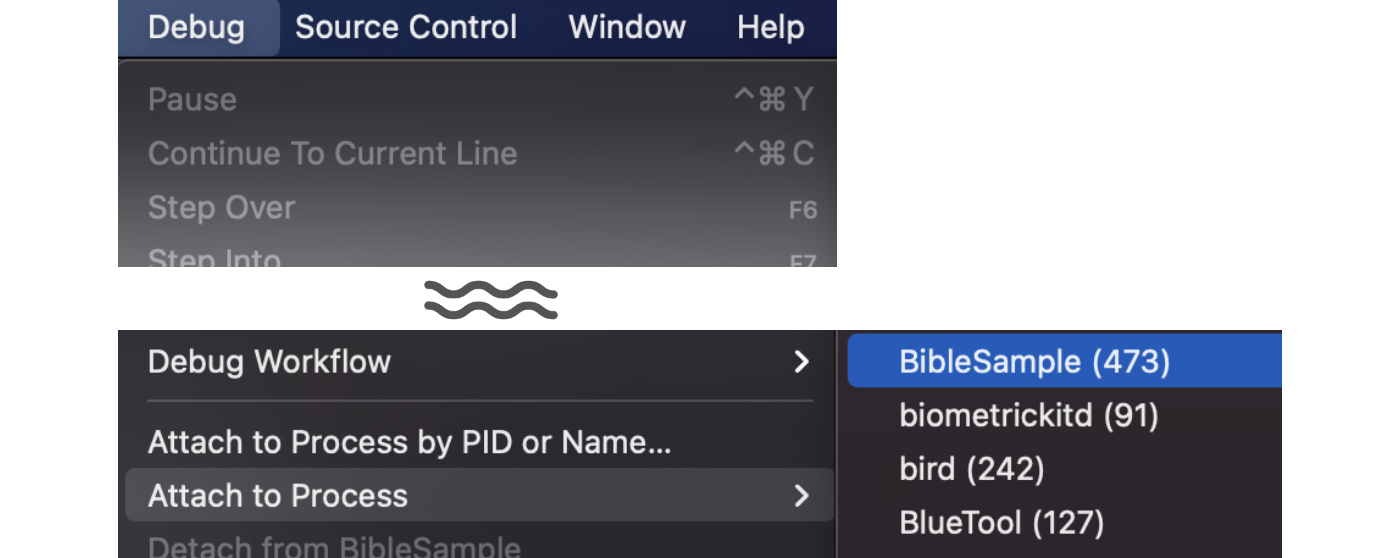 Debugger Attach in Xcode